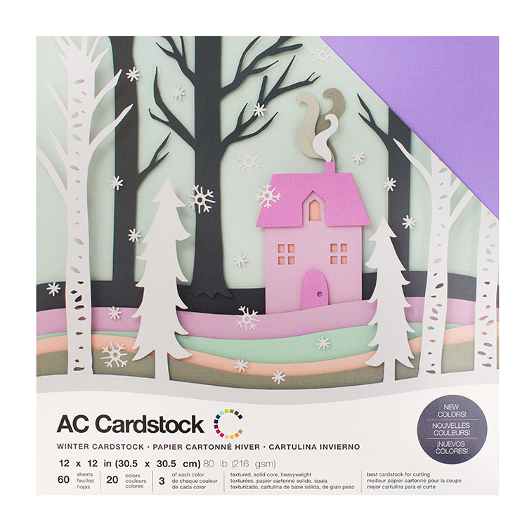American Crafts Winter 60 Sheets 12x12 Cardstock Pack