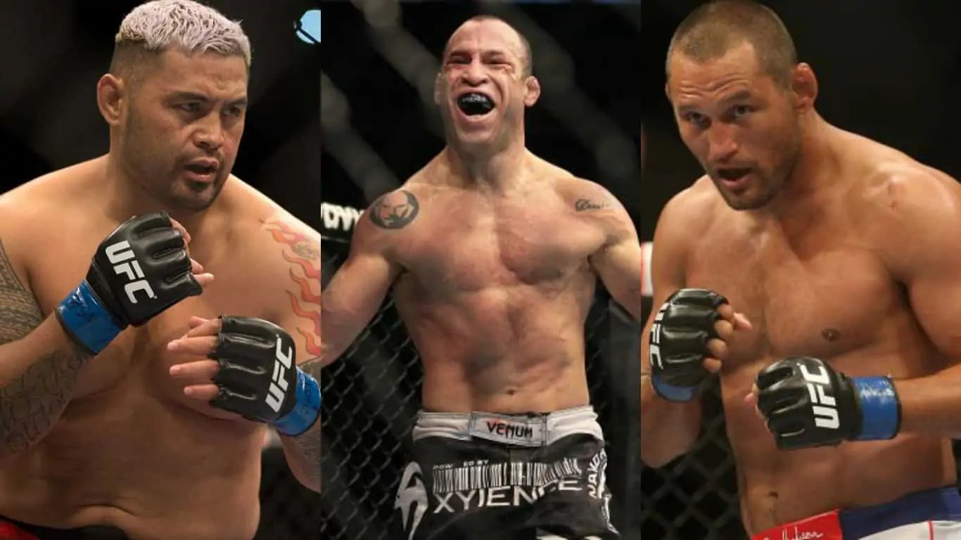 Top Ten Hardest Hitters in MMA History