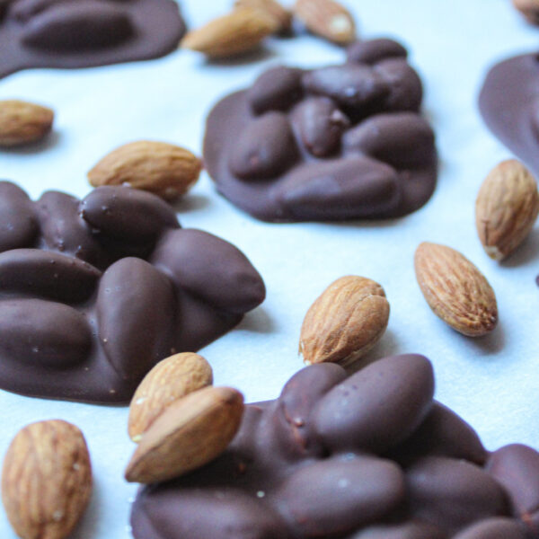 Dark Chocolate Covered Almonds [GF DF Paleo]