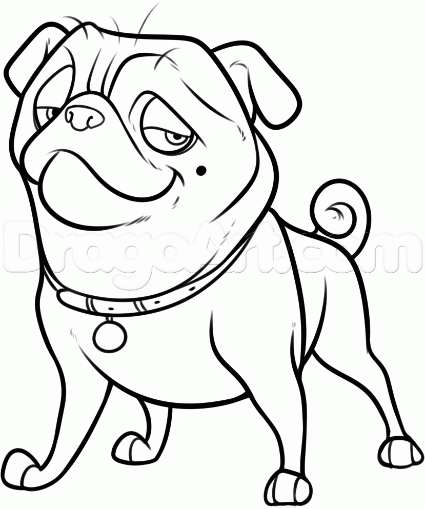 Top 10 The Nut Job 2 Coloring Pages Top 10 The Nut Job 2 Coloring Pages