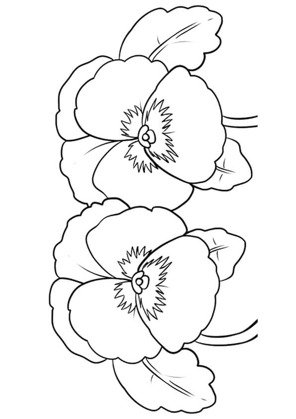 Flowers Coloring Pages Printable for Free, and Color Online