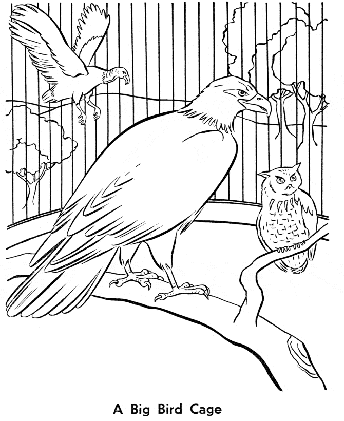 Free Printable Zoo Coloring Pages For Kids