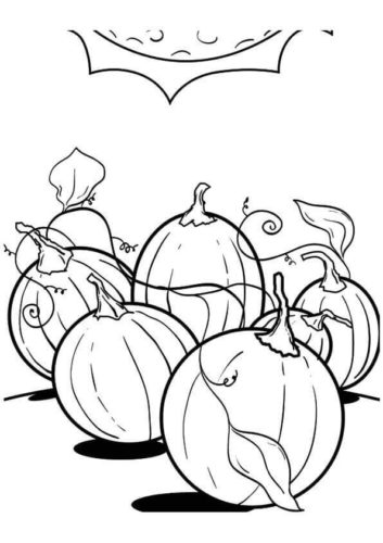 30 Free Pumpkin Patch Coloring Pages Printable