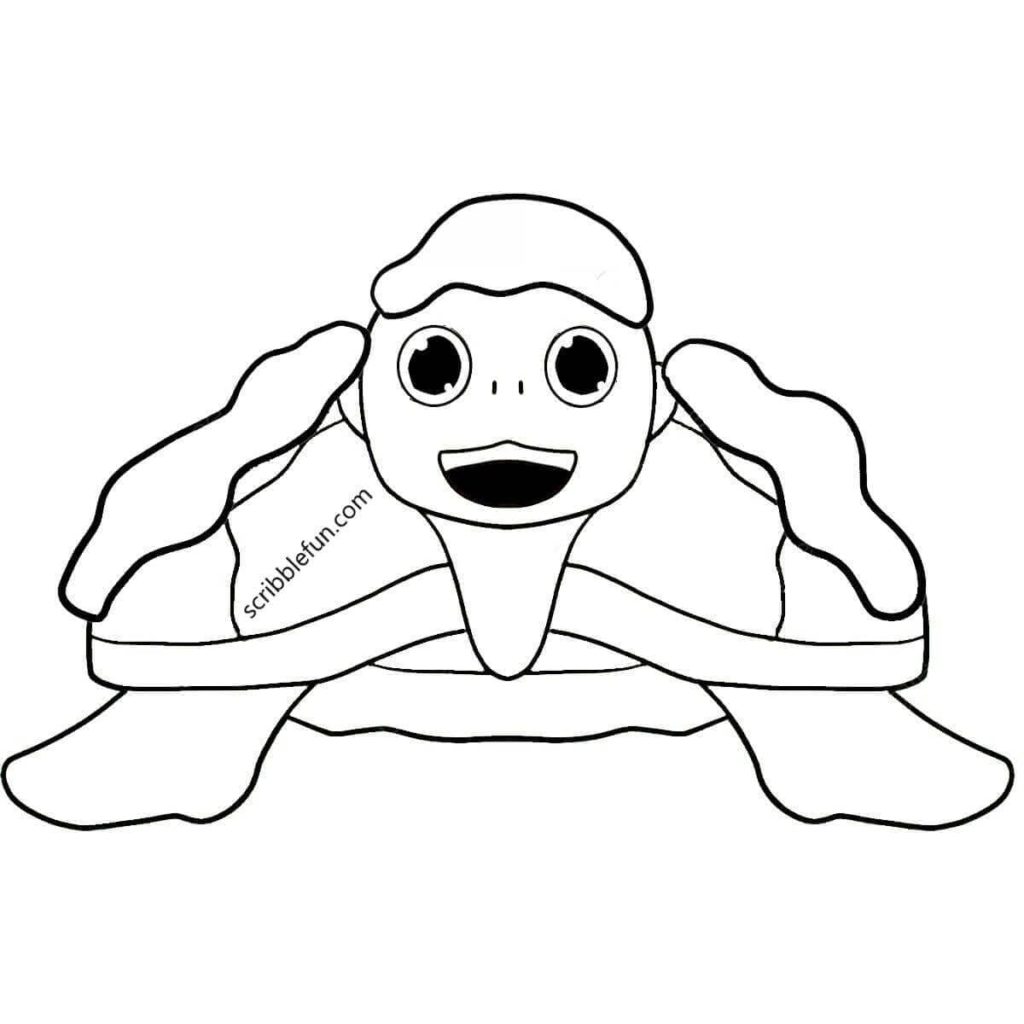 35 Free Turtle Coloring Pages Printable