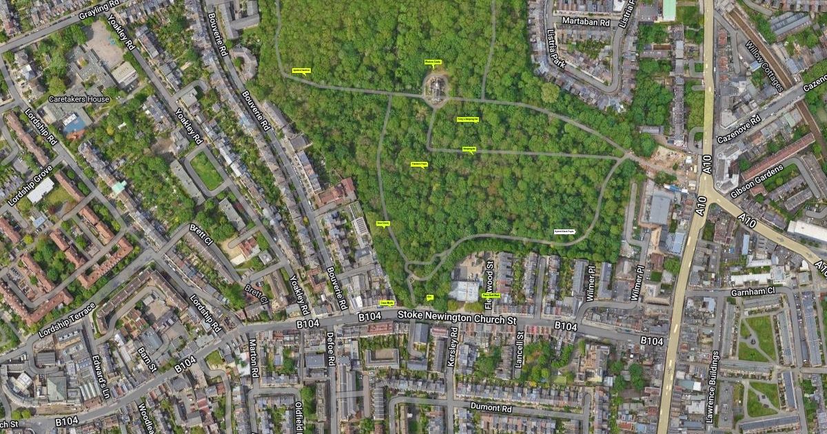 Trees of Stamford Hill Scribble Maps