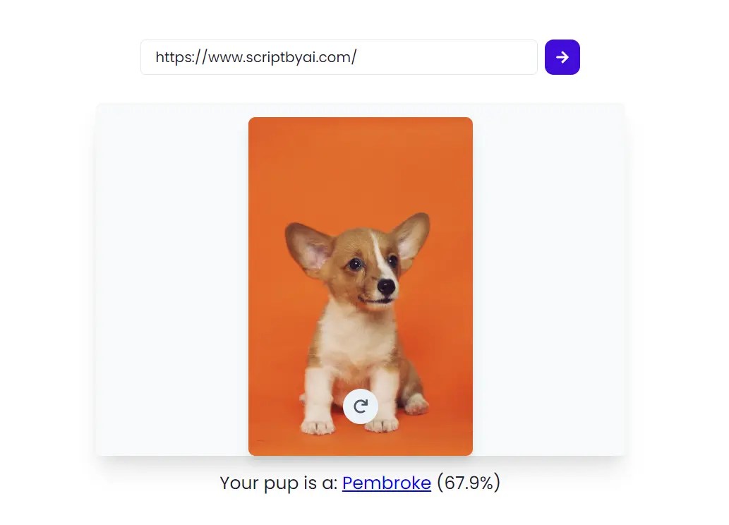 AIPowered Dog Breed Identifier Quick & Free ScriptByAI