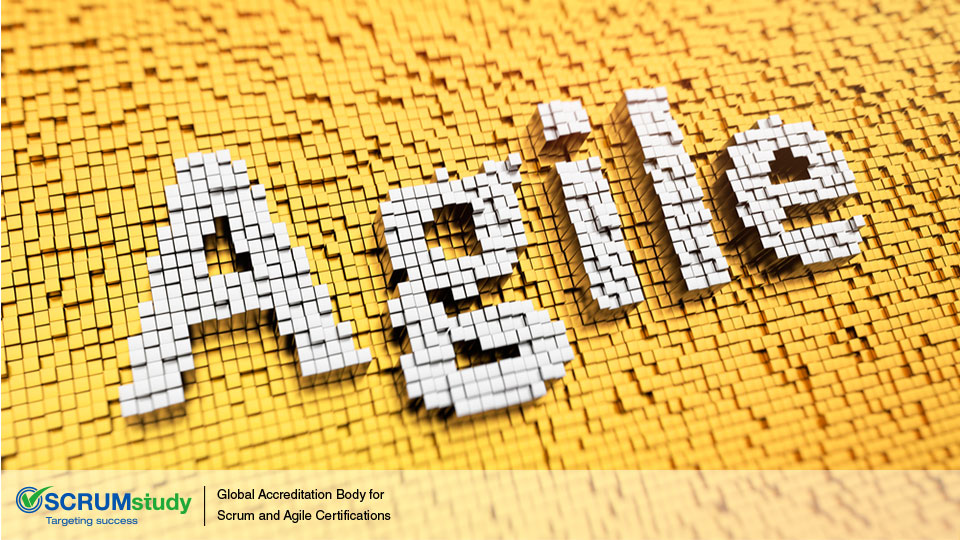 What is Agile methodology? | veronicasscrumblog