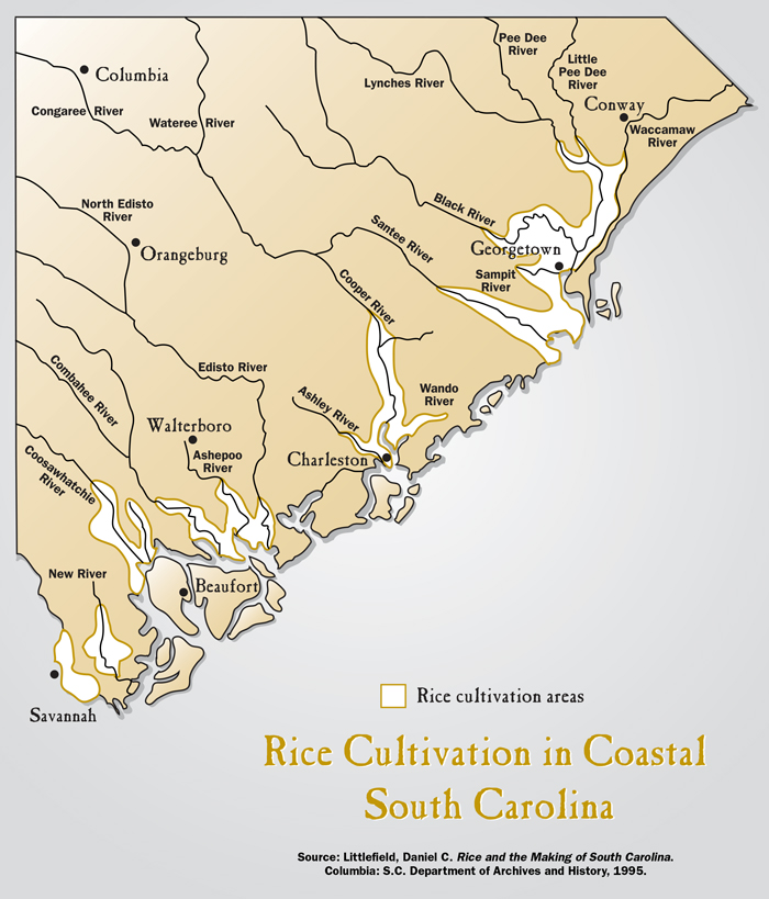 South Carolina Plantations Map Riches To Ruin: Pharaohs Of The New World - S.c. Sea Grant Consortium