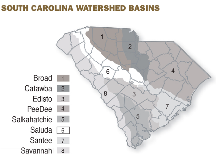 The Coast's Great Leap S.C. Sea Grant Consortium