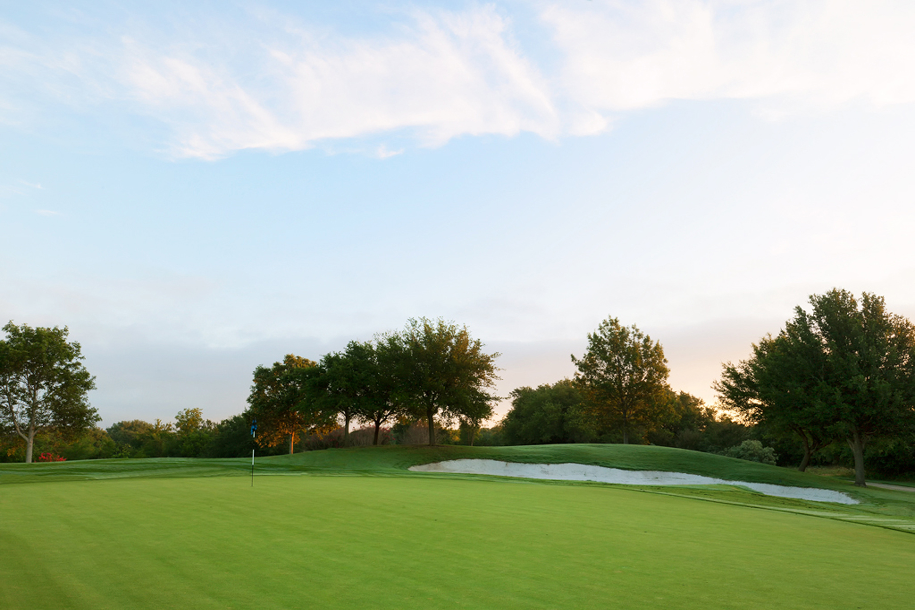 Sun City Texas Community Association White Wing