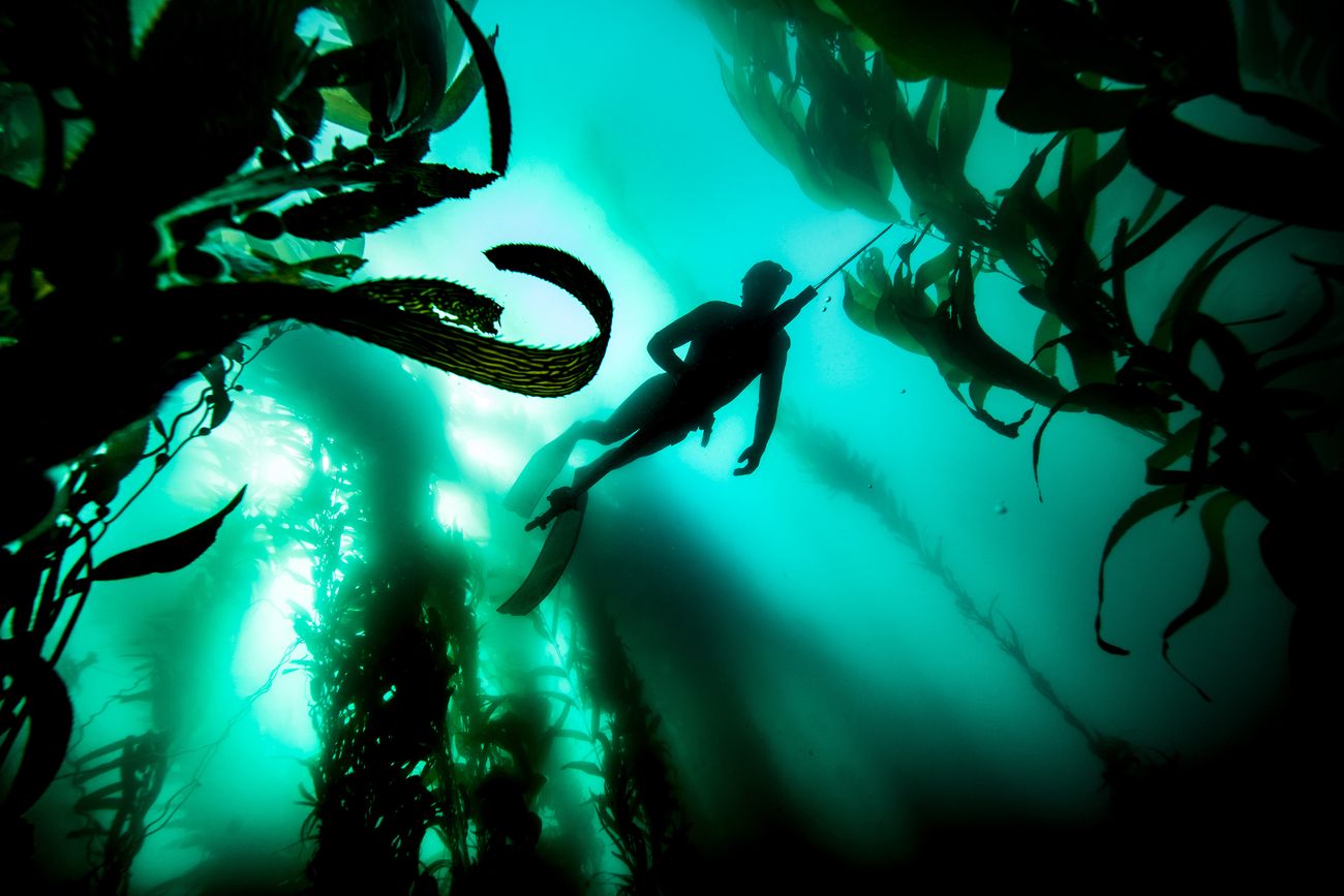 Riffe Euro Speargun Scuba