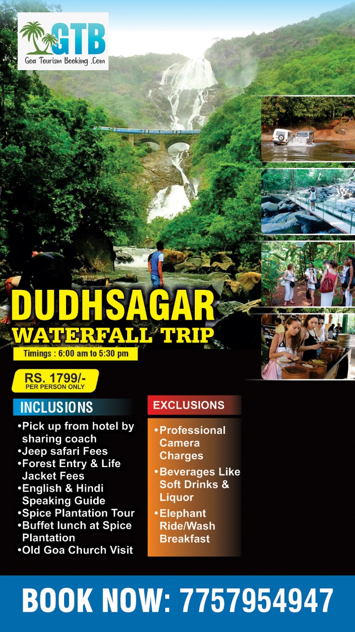 Scuba Diving in Goa Goa Tourism Booking