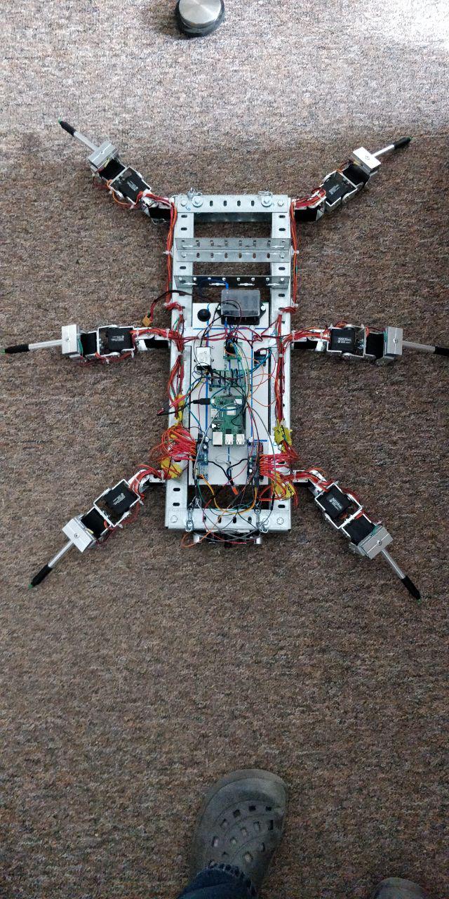Building a hexapod robot from nothing to a first platform Stricker