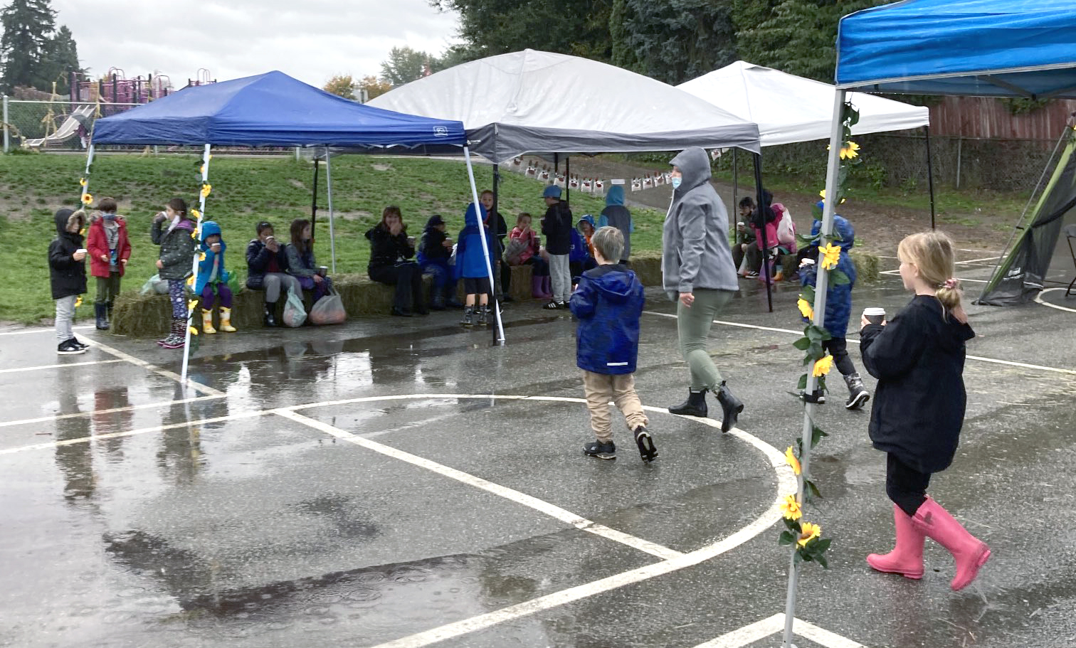 Pumpkin patches pop up at Yennadon, Hammond elementary District