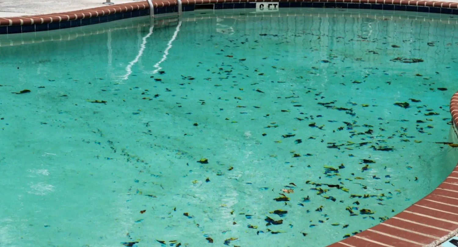 Les différents types de tâches que l’on peut trouver dans une piscine SDA PISCINE
