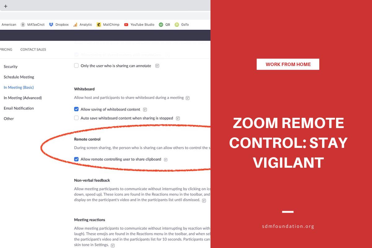Zoom Remote Control Stay Vigilant SDM Foundation
