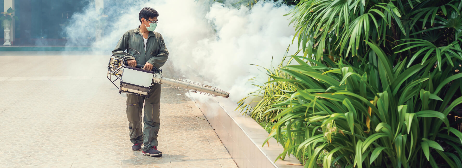 Pest Control Services in Chennai SDSensible Pest Solutions