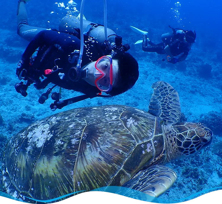 シードラゴンダイビングサービス｜知多半島で唯一のダイビングショップ