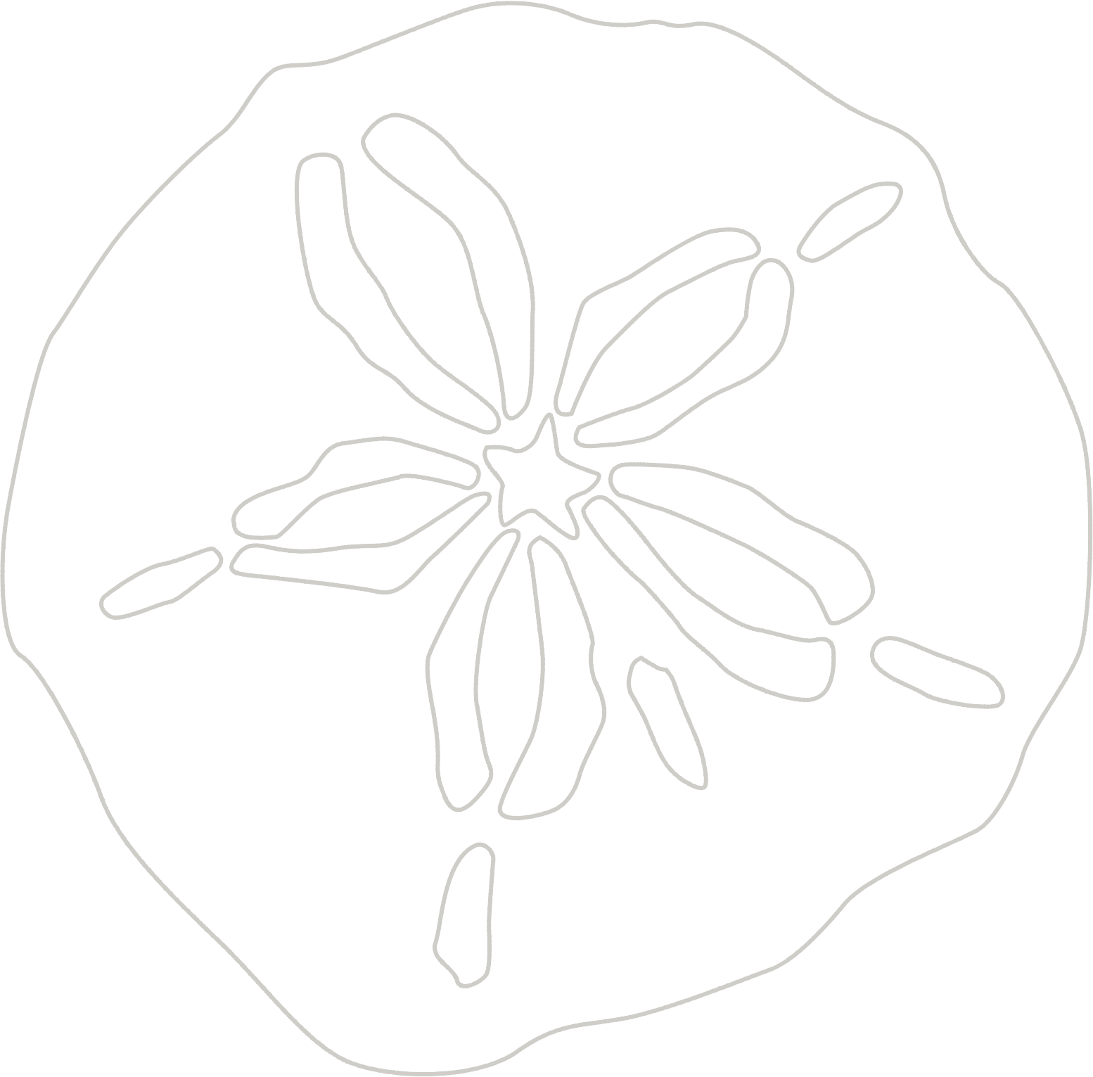 Meet Dr. Haggard Sea Glass Periodontics & Implantology Greenville SC