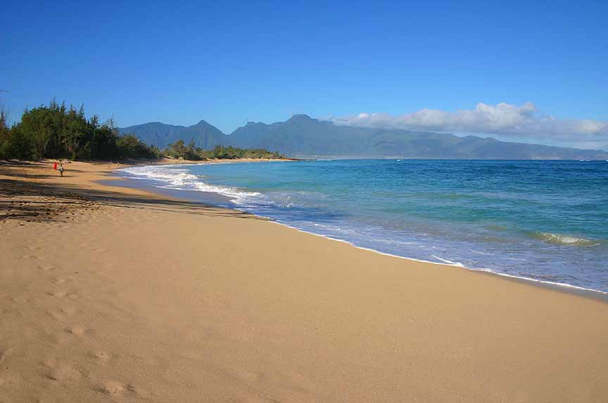 Maui houses for rent.