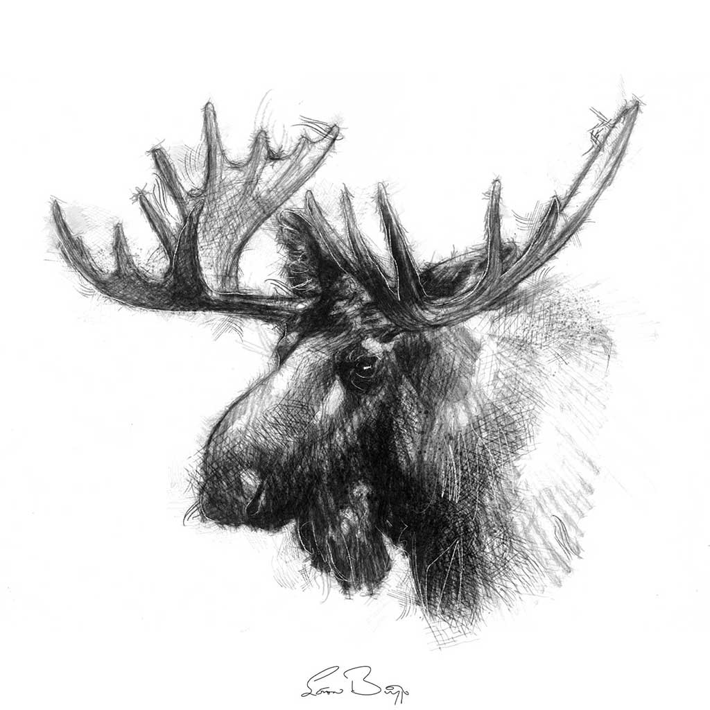 Original sketch SeanBriggs