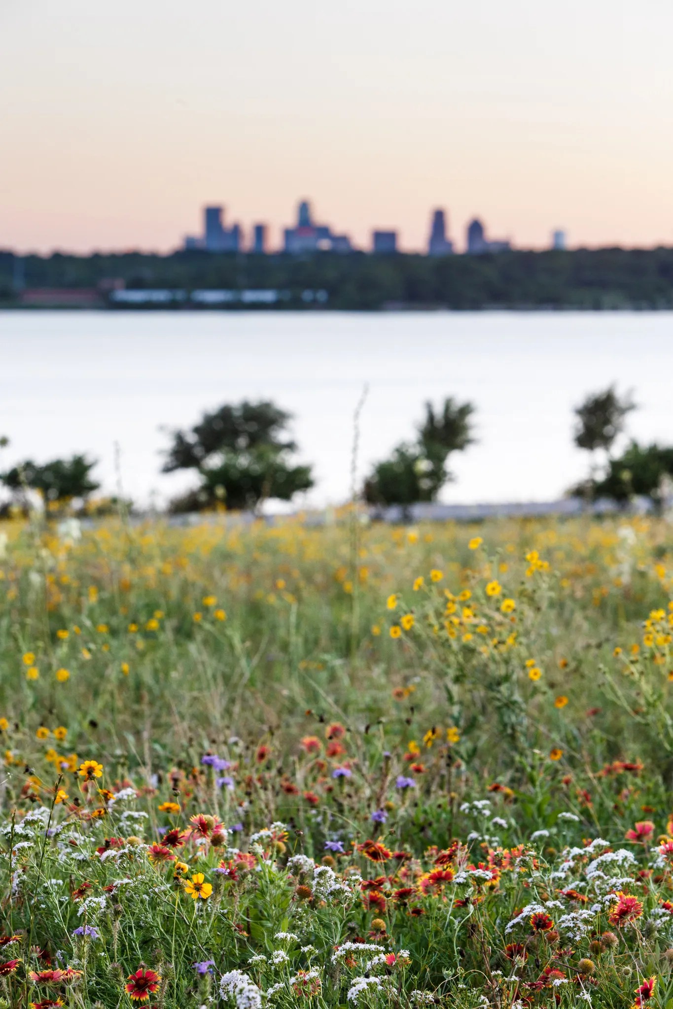 Prairie at White Rock Sean Fitzgerald Photography