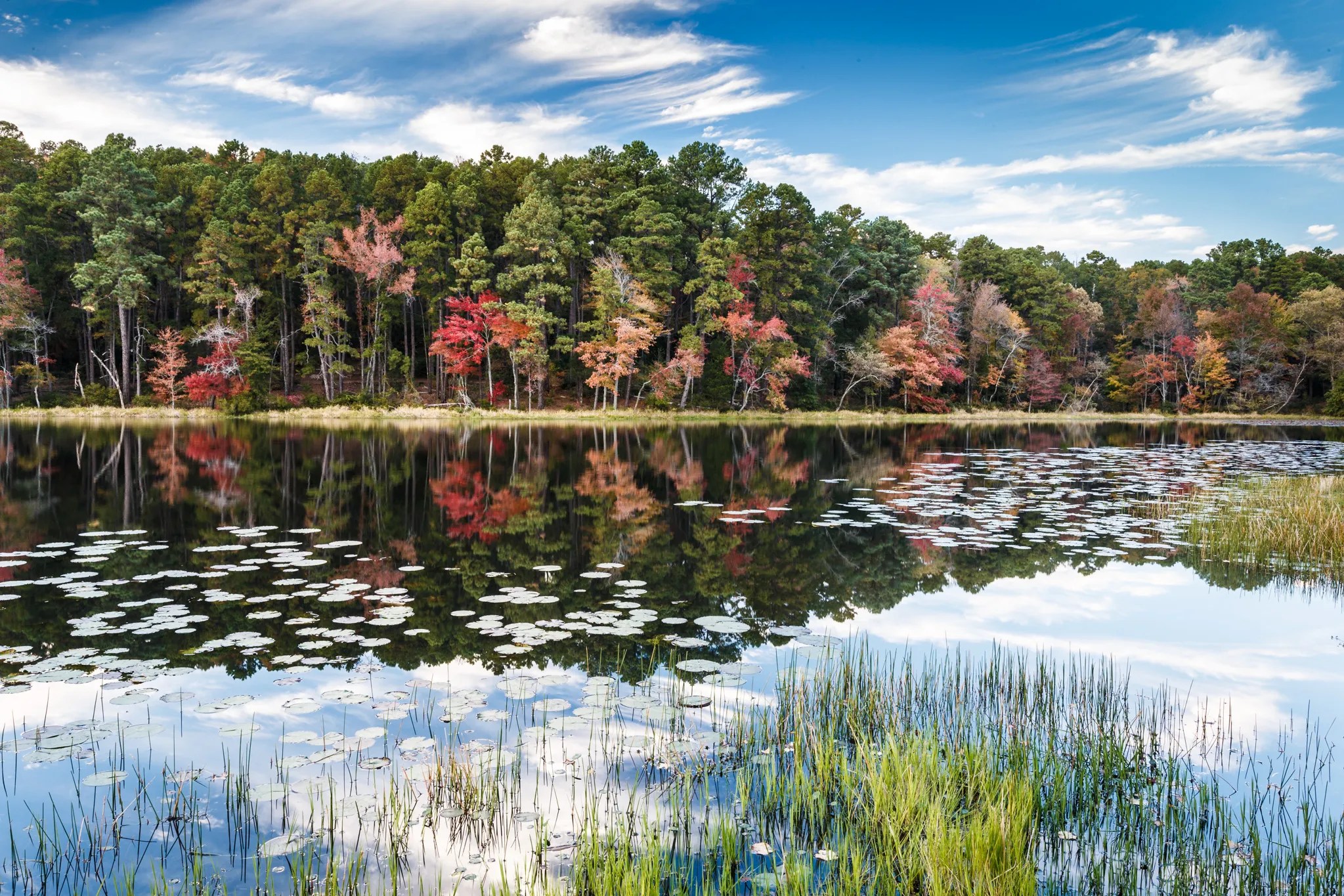 Daingerfield Sean Fitzgerald Photography