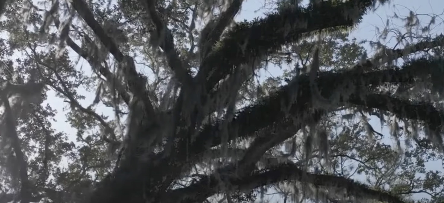 Lakewood Neighborhoods Point Clear Fairhope Alabama Homes Real