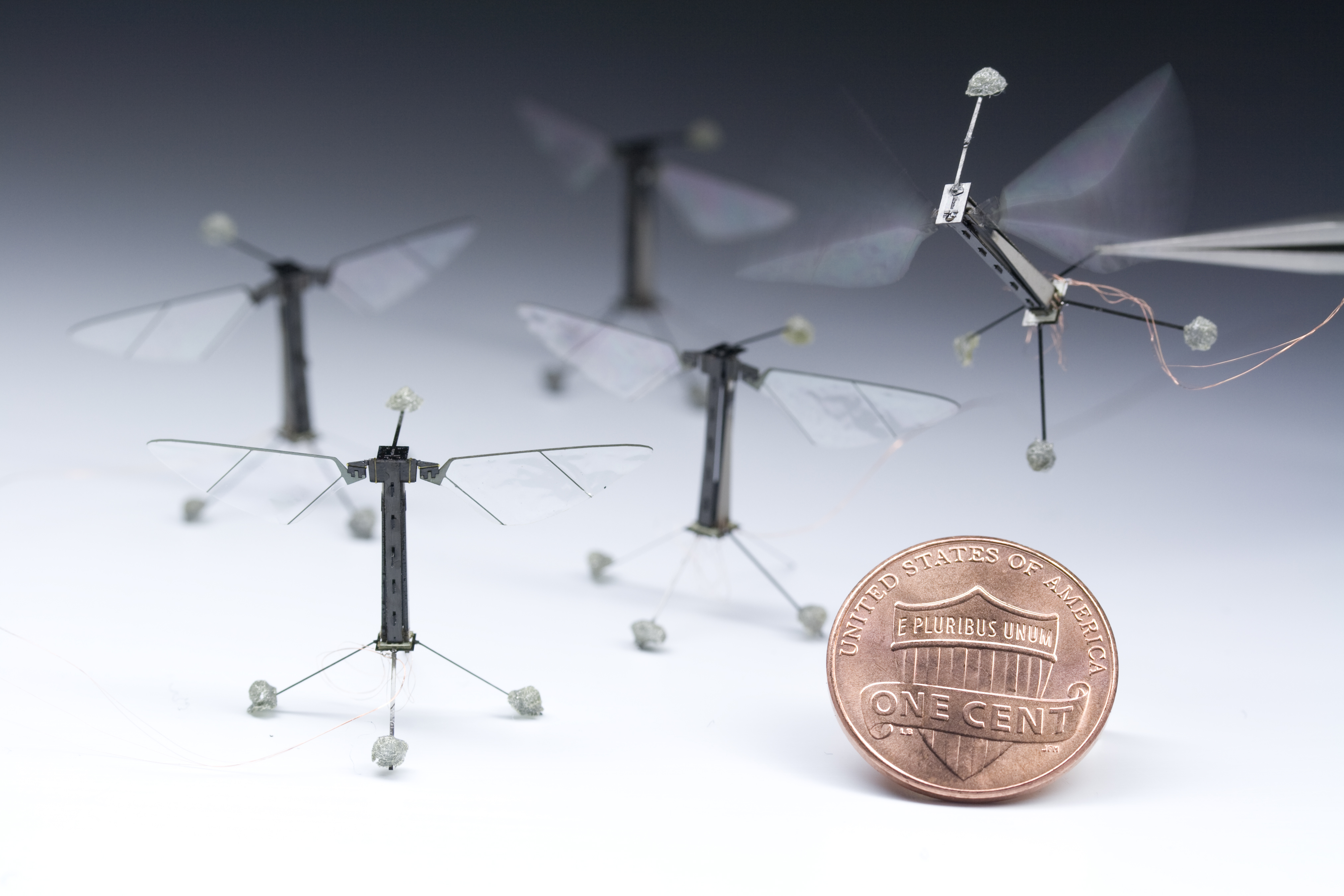Robotic insects make first controlled flight Harvard John A. Paulson