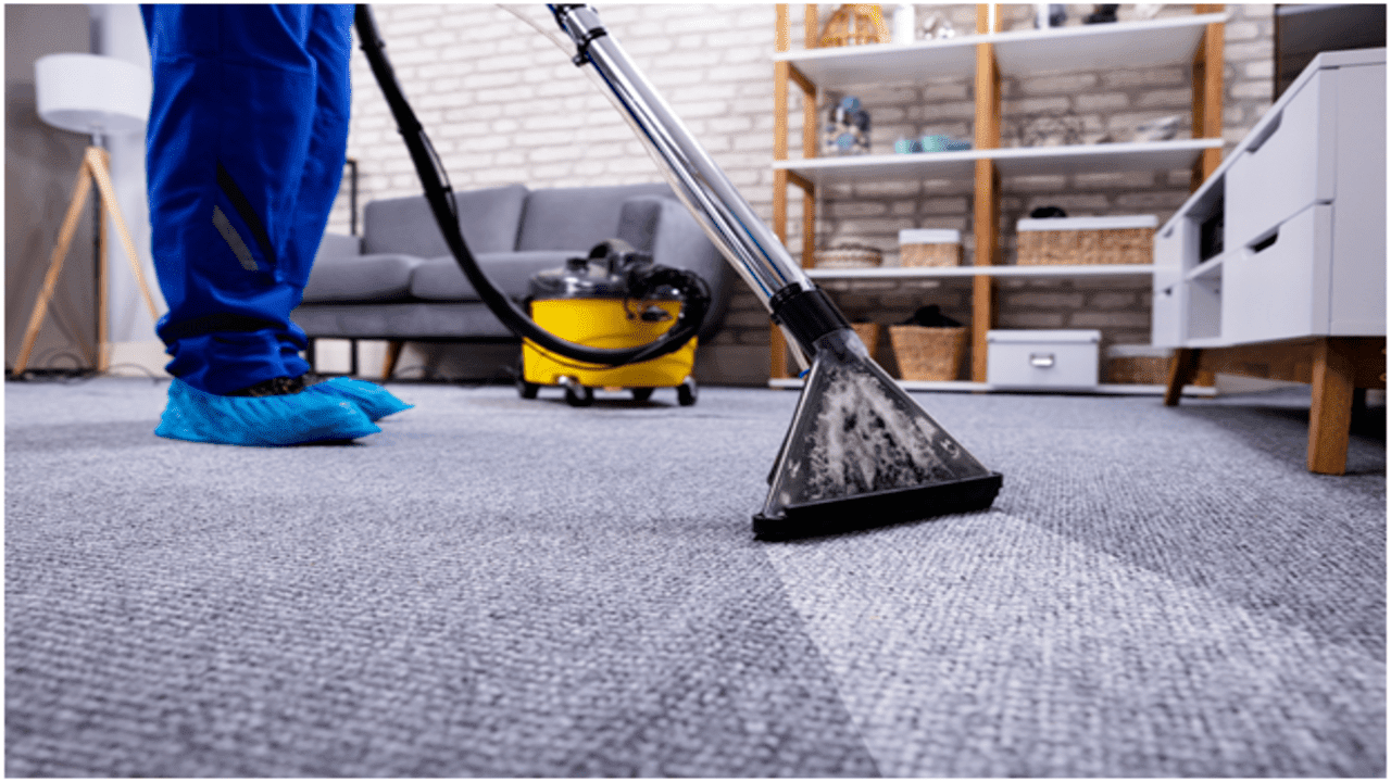 Carpet Cleaning Companies Oceanside at Terrance Meyer blog