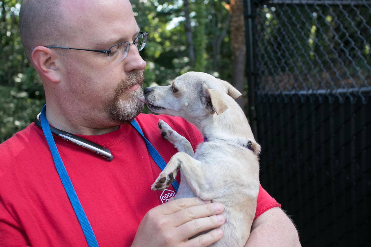 Cat And Dog Shelter Jobs