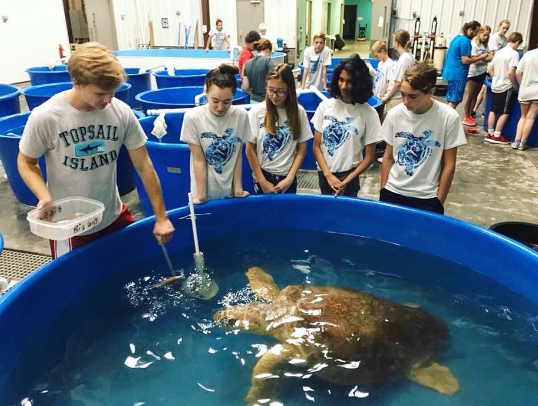 Sea Turtle Camp What More Can a Parent Want? Sea Turtle