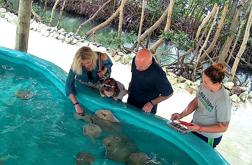  Sea Turtle Camp
