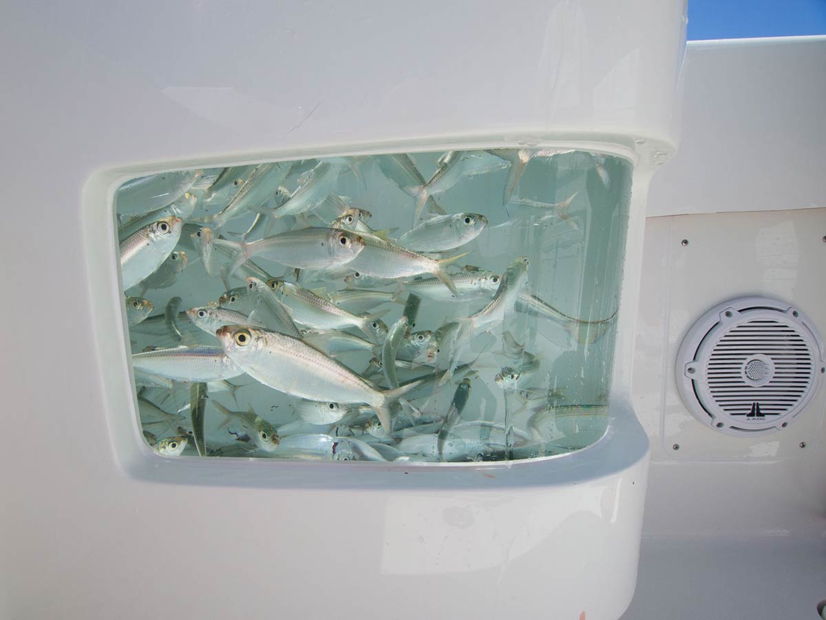 Center Consoles 370Z Details SeaVee Boats