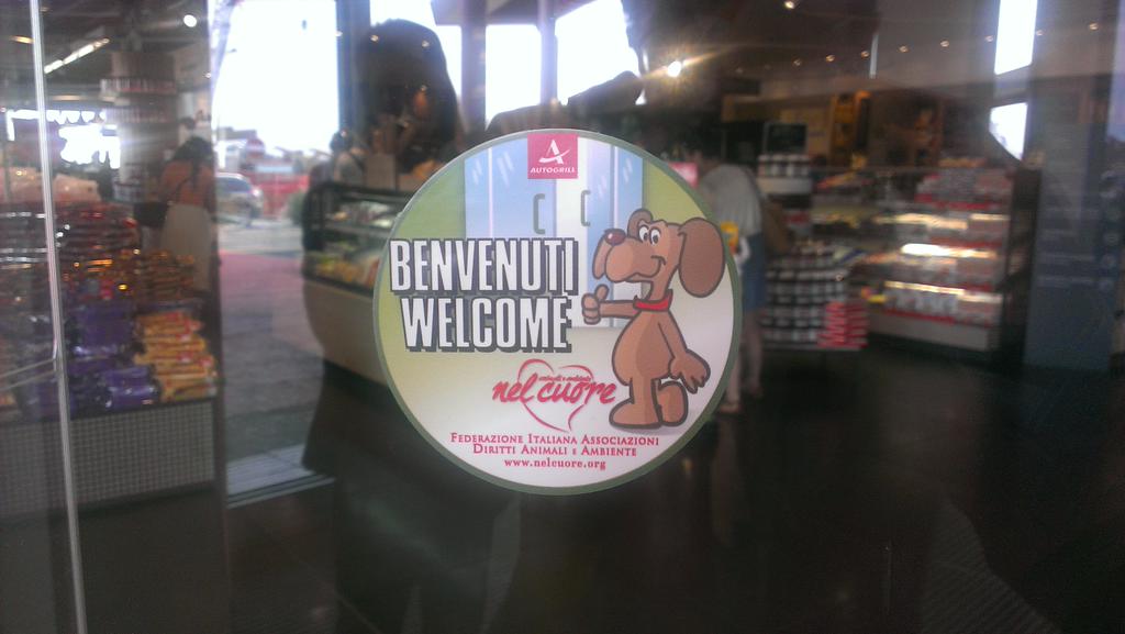 Cani e gatti benvenuti in autogrill arrivano le aree dedicate in