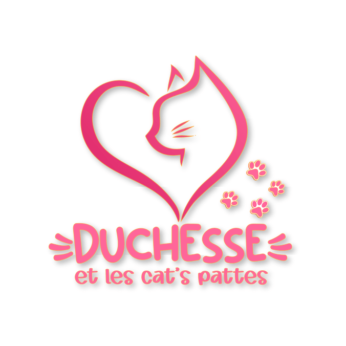 Duchesse et les Cats Pattes refuge chat région HautsdeFrance