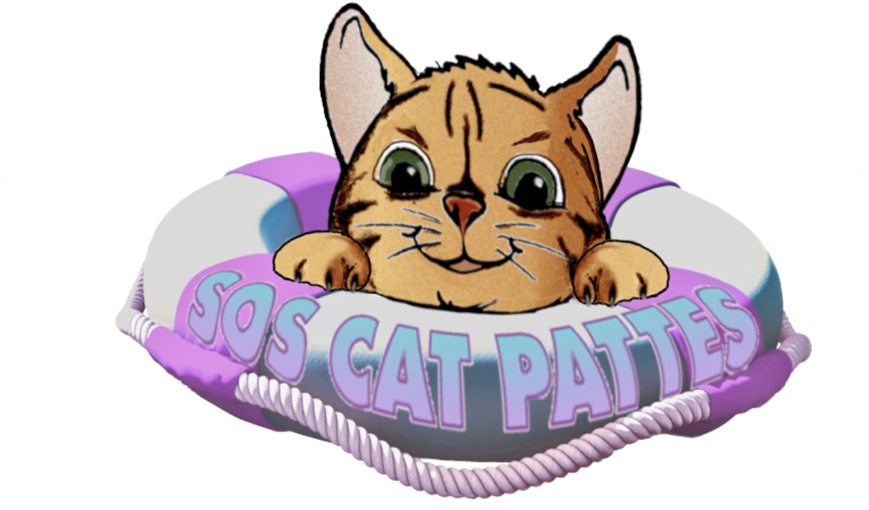 SOS CAT PATTES refuge chat région ÎledeFrance