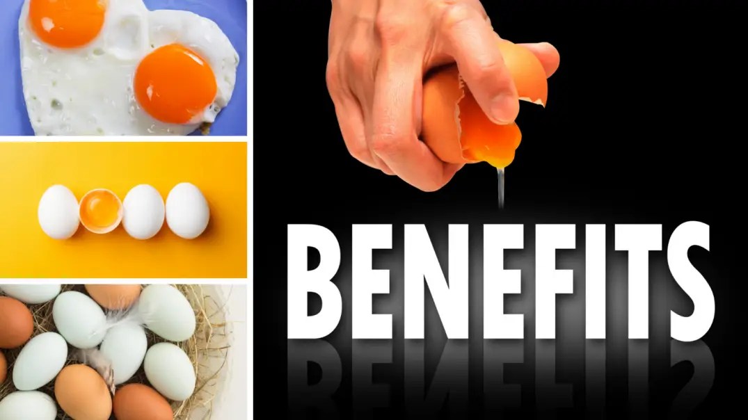 Physiotherapy What is the best exercise for treating hypertension