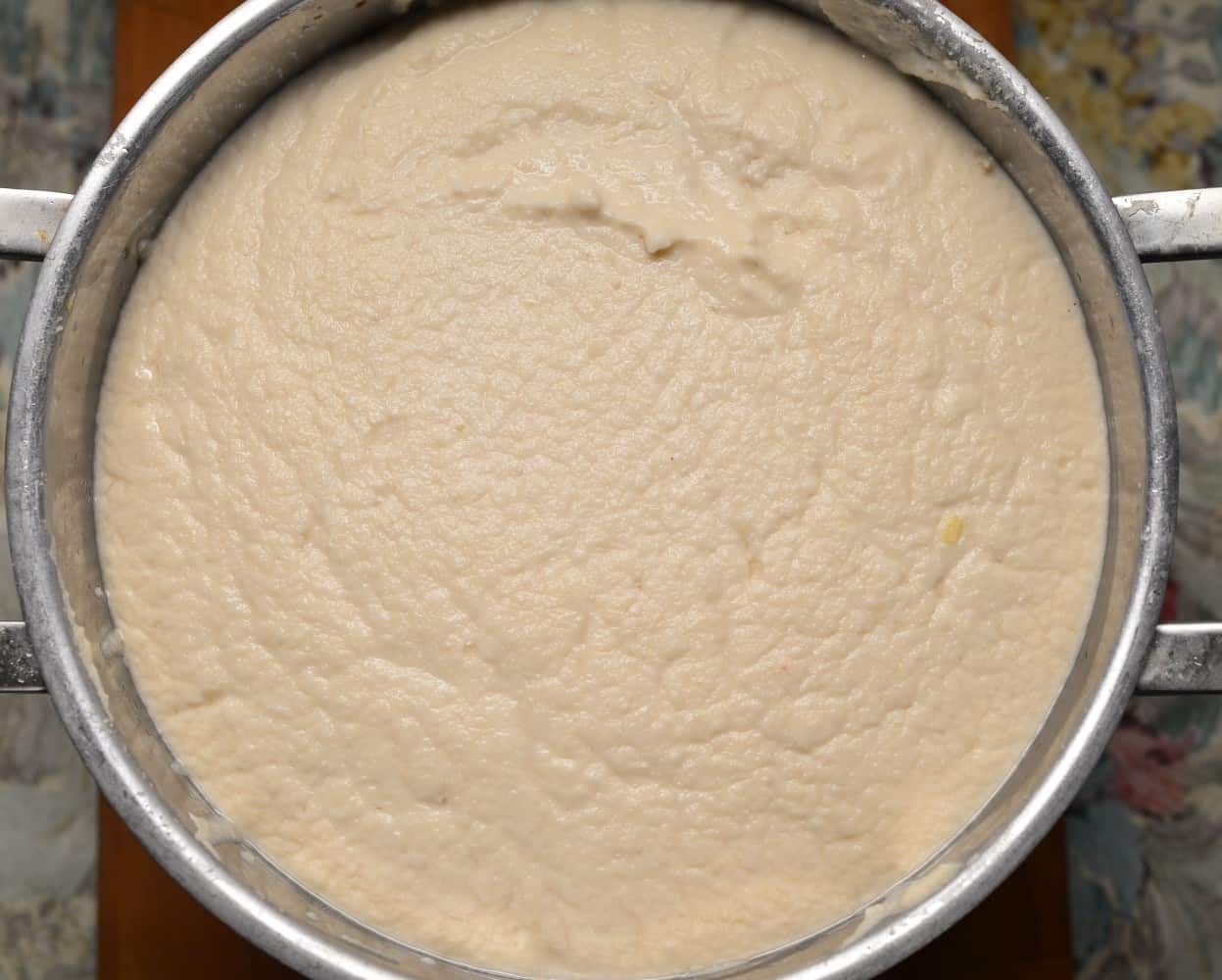 Perfect idli and dosa batter in vitamix blender SecondRecipe