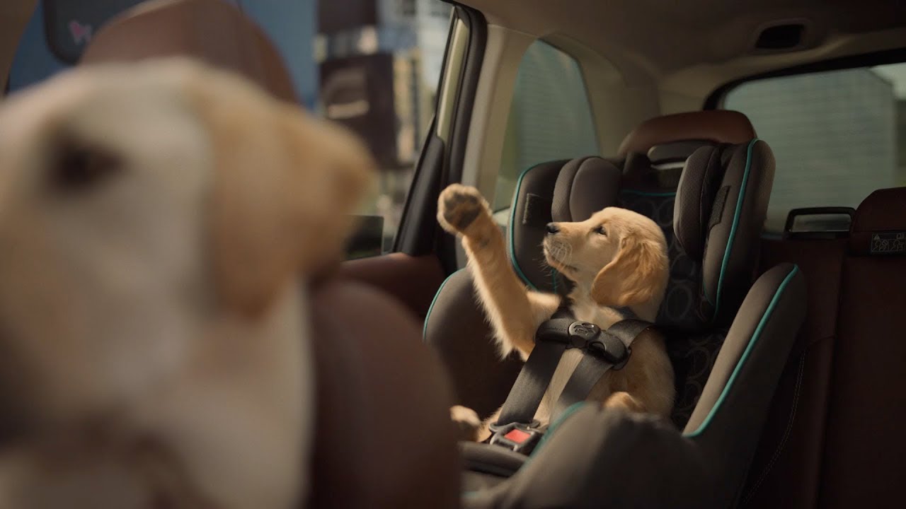 Subaru Dog Commercials 2024 Page Tricia