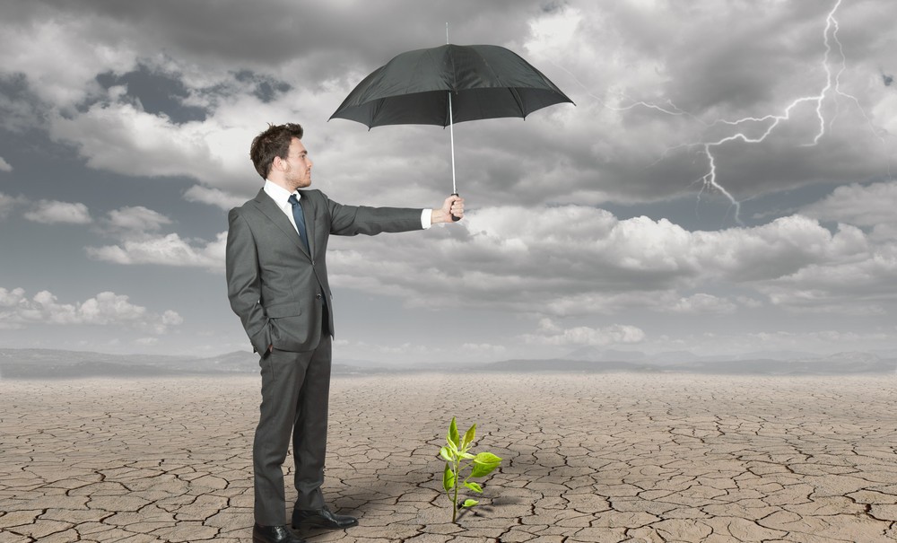 What is Regulation D? Going Public Lawyers