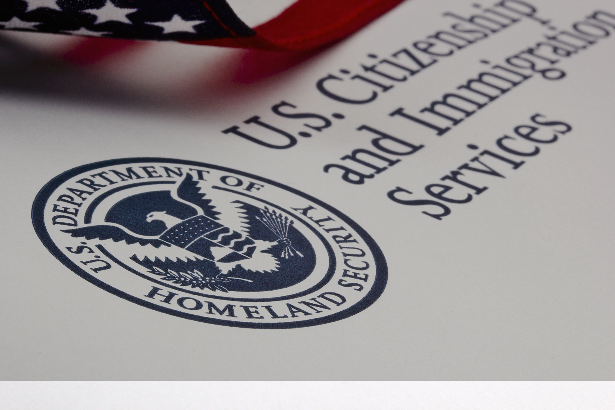 U.S. Department of Homeland Security Logo Security Degree Hub