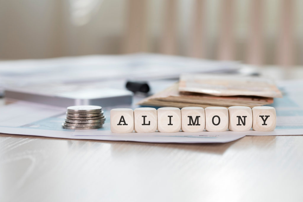 What's the Difference Between Alimony vs Spousal Support? Family Law