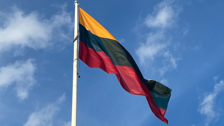 600,000 Lithuanian National Register Entries Leaked