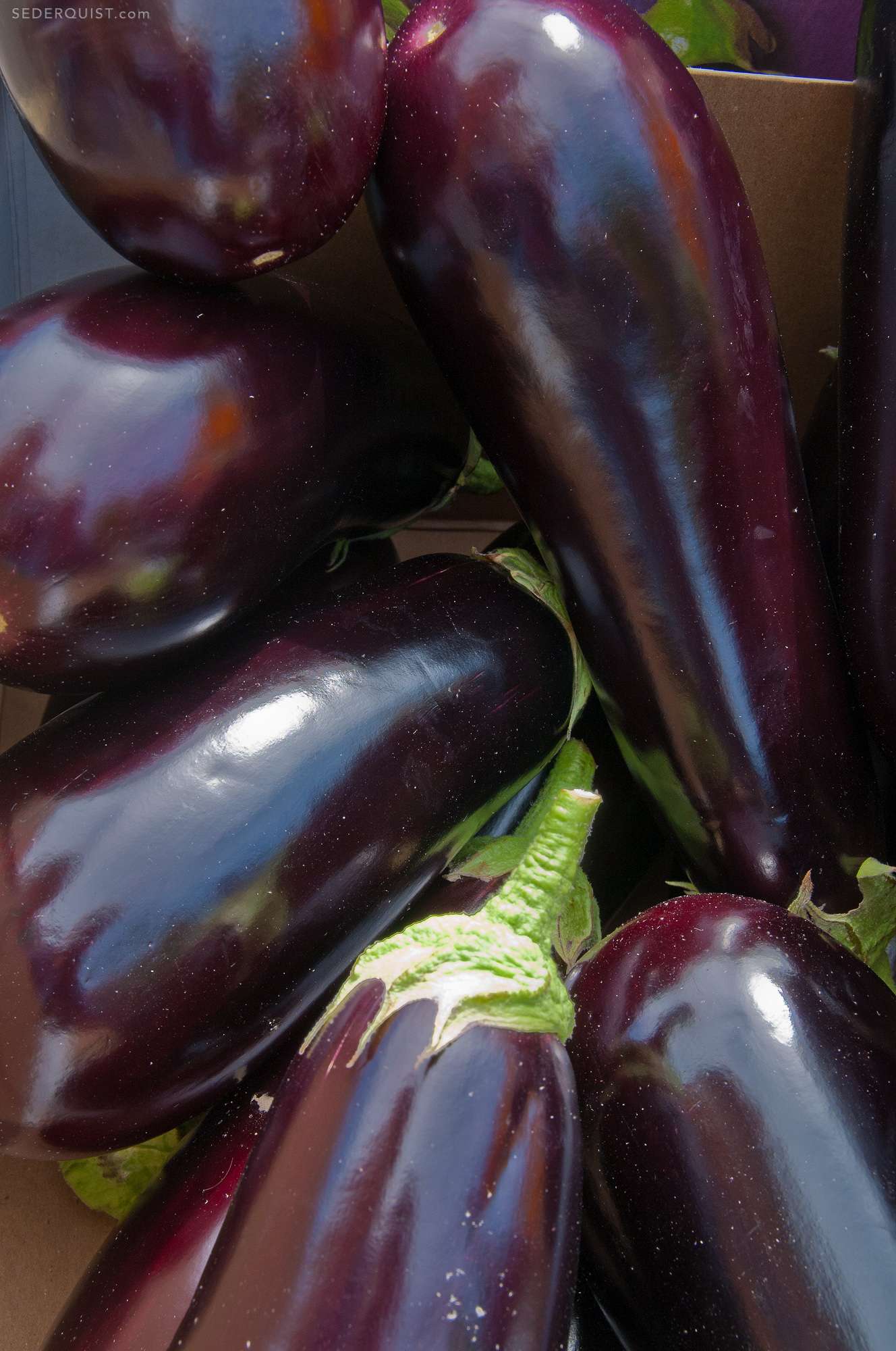 Eggplant at Farmers' Market, Oxford, England Betty Sederquist Photography