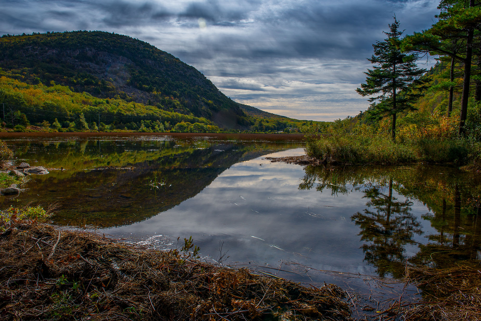 Mount Pond Refleciton Desert Island, Maine Betty Sederquist Photography