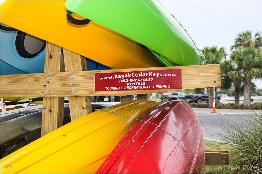 Kayaking Cedar Key SeeCedarKey