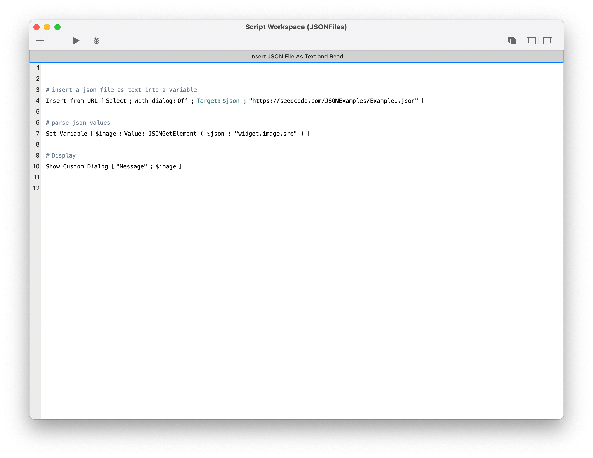 FileMaker JSON Files Reading & Writing SeedCode