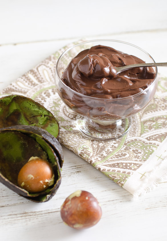 Chocolate Avocado Pudding