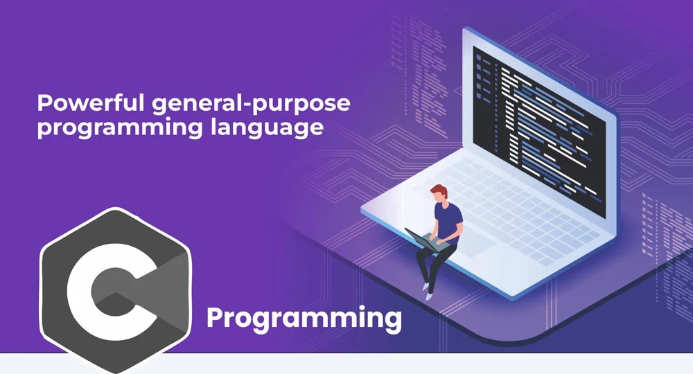 Job Oriented Courses Seed Infotech No. 1 IT Training Institute